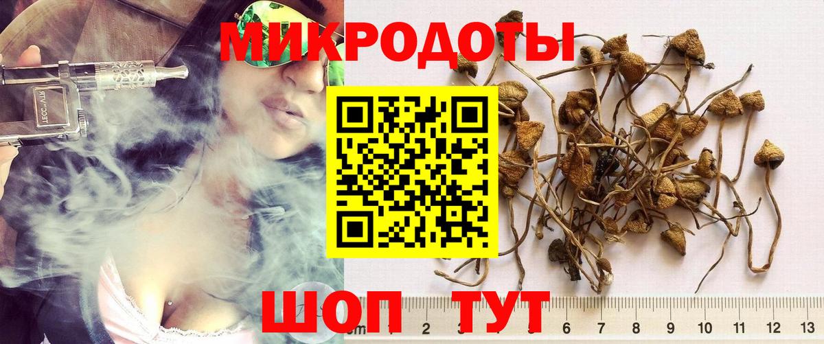 Благовещенск  Псилоцибиновые грибы мухоморы  Вход с VPN 
