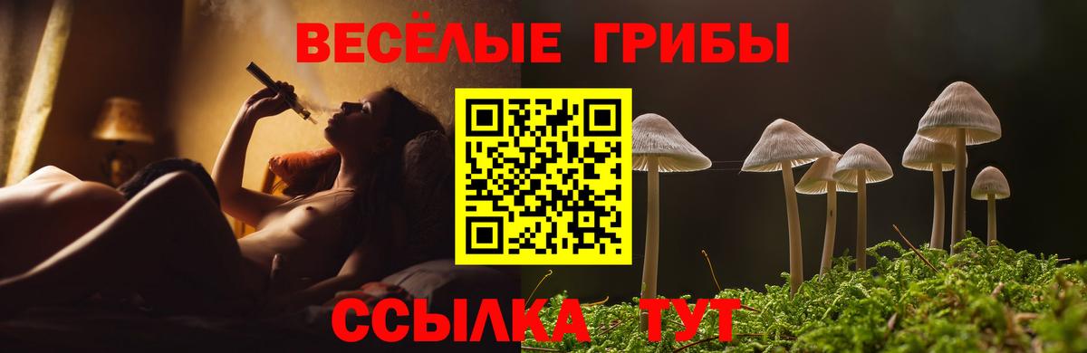 Псилоцибиновые грибы Cubensis Благовещенск